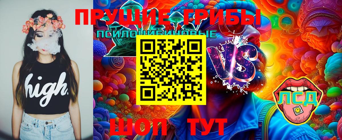 Керчь  Псилоцибиновые грибы MAGIC MUSHROOMS  Вход с VPN 